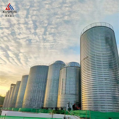 Paddy Rice Depo Steel Silo